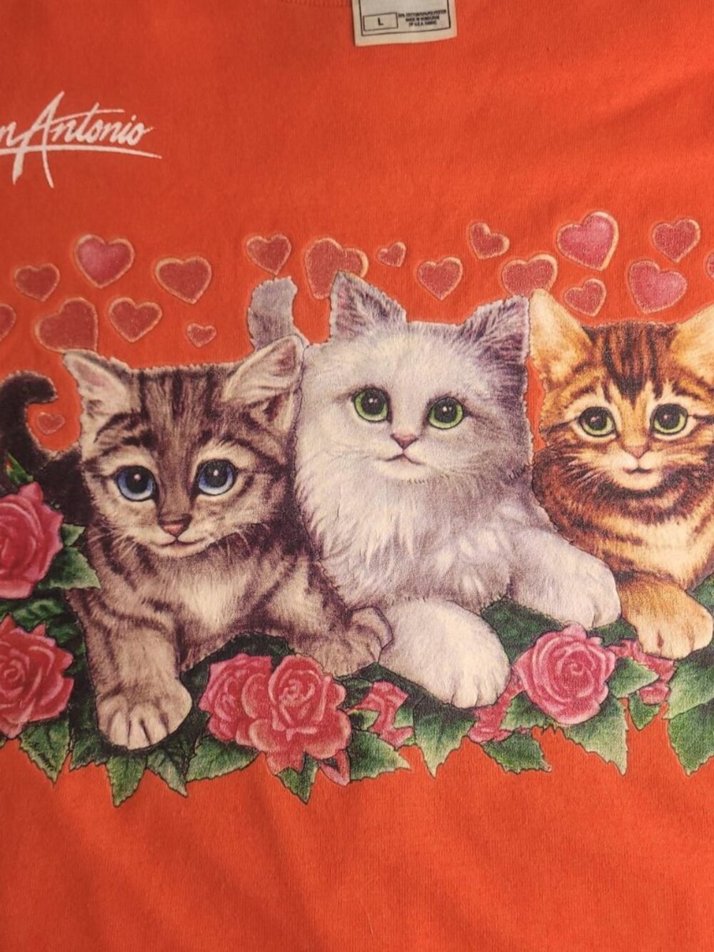 San Antonio Texas Kitten Kitty Cat orange grandma granny shirt - Picture 2 of 4